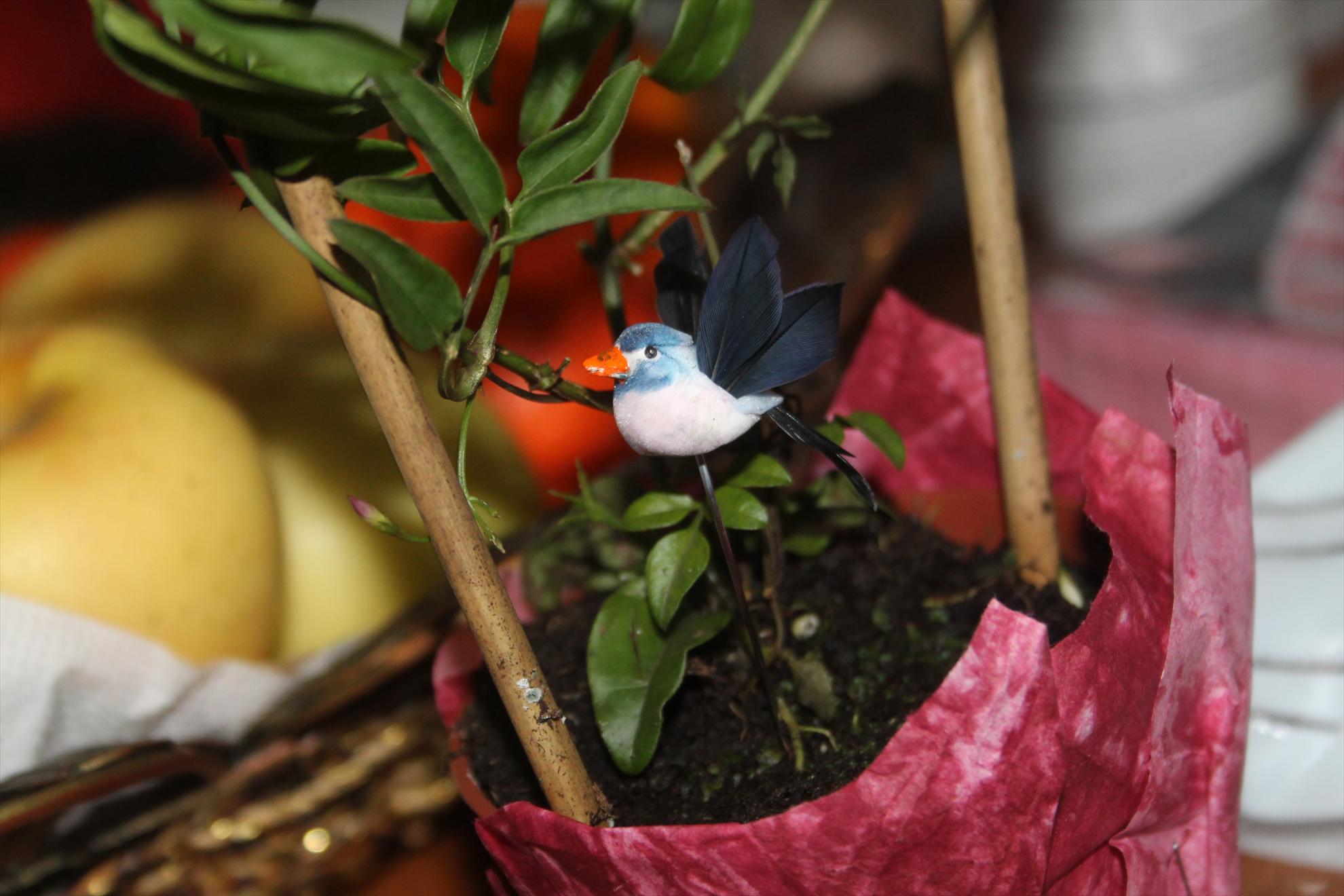 My new passion...1 - 1-111.JPG